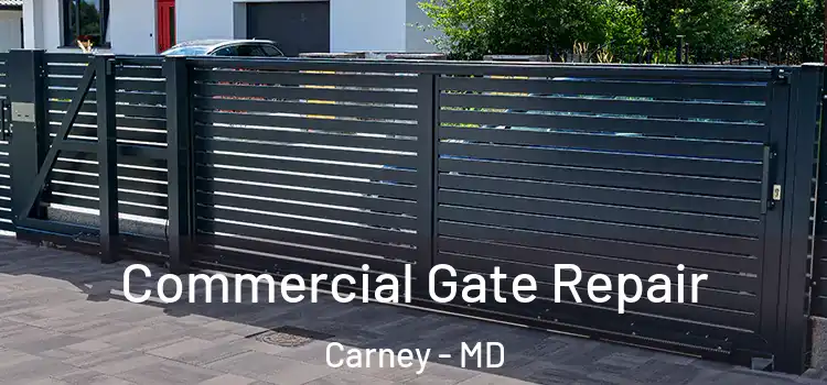  Commercial Gate Repair Carney - MD