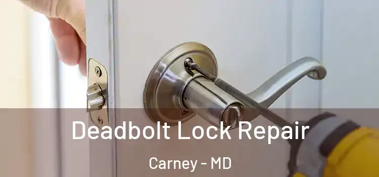  Deadbolt Lock Repair Carney - MD
