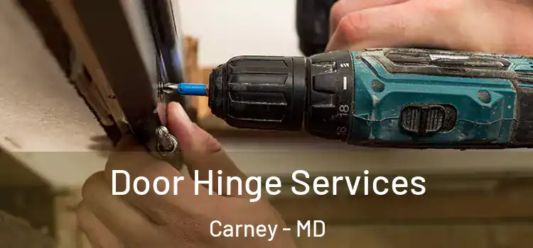 Door Hinge Services Carney - MD