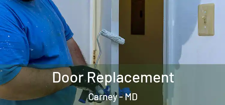  Door Replacement Carney - MD