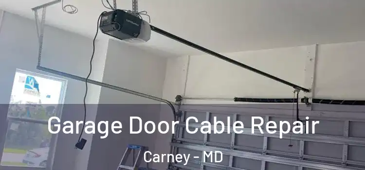  Garage Door Cable Repair Carney - MD