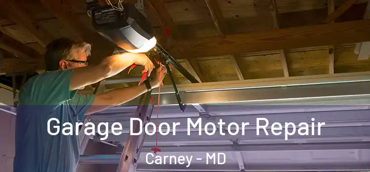  Garage Door Motor Repair Carney - MD