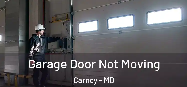  Garage Door Not Moving Carney - MD