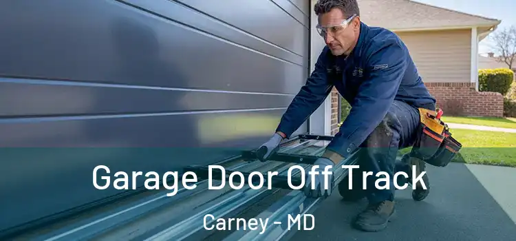 Garage Door Off Track Carney - MD