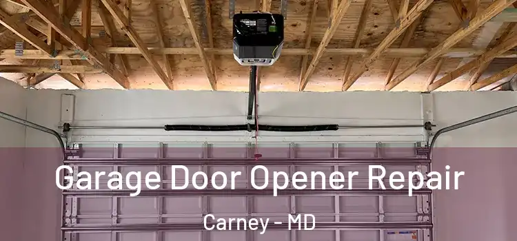  Garage Door Opener Repair Carney - MD