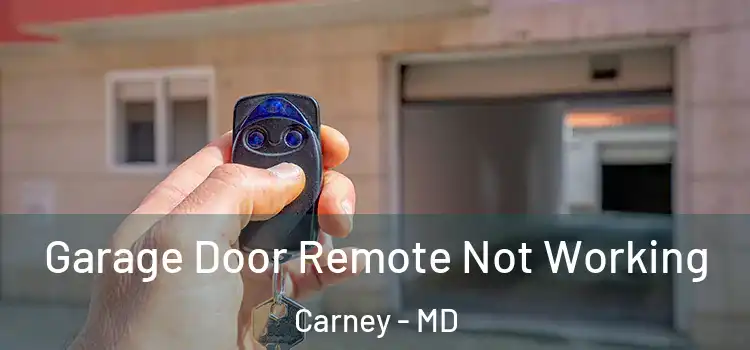  Garage Door Remote Not Working Carney - MD