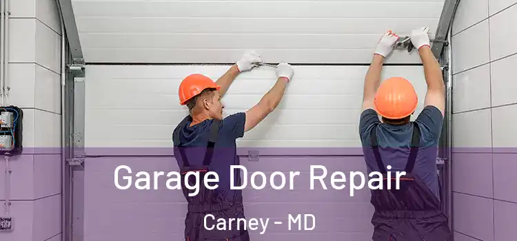  Garage Door Repair Carney - MD