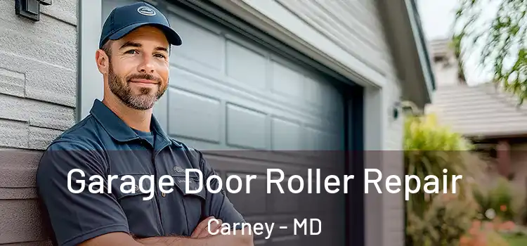  Garage Door Roller Repair Carney - MD