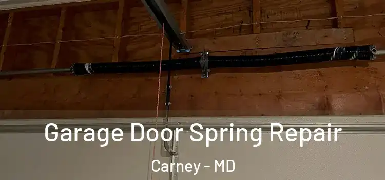  Garage Door Spring Repair Carney - MD