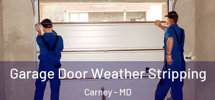  Garage Door Weather Stripping Carney - MD