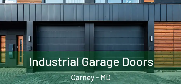  Industrial Garage Doors Carney - MD