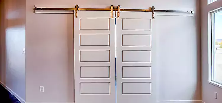 Glass Barn Door with Installation Hardware Kit Carney