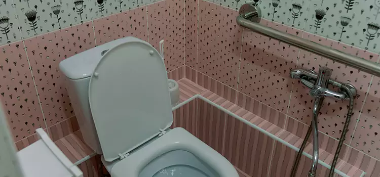 Meeting Diverse Needs With Accessible Restroom Solutions in Carney, MD