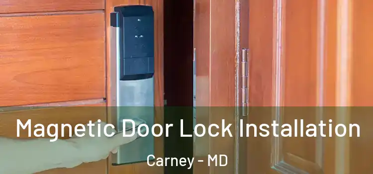  Magnetic Door Lock Installation Carney - MD