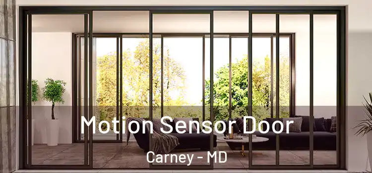  Motion Sensor Door Carney - MD
