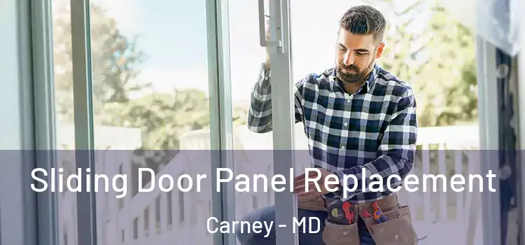  Sliding Door Panel Replacement Carney - MD