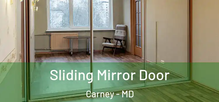  Sliding Mirror Door Carney - MD