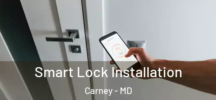 Smart Lock Installation Carney - MD