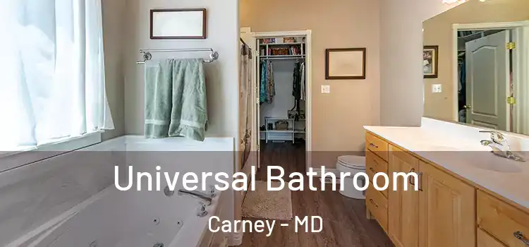  Universal Bathroom Carney - MD