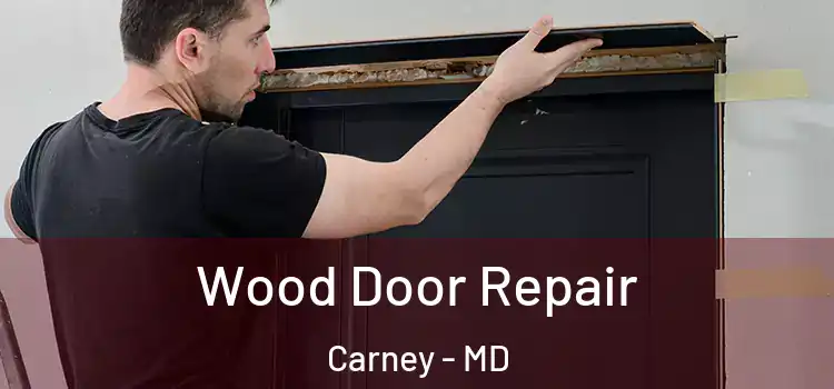  Wood Door Repair Carney - MD